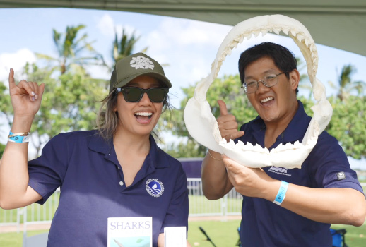 Ko Olina Children's Festival, Family Activities, Sunset On the Beach Movie